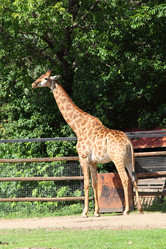 Similar image 1427364