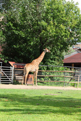 Similar image 1427367