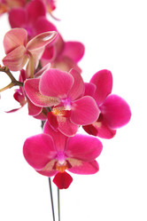 Similar image 1427374