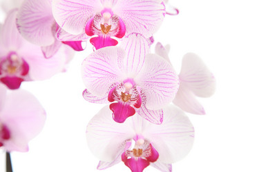 Similar image 1427378