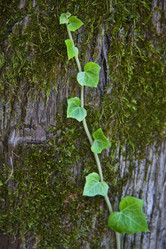 Similar image 1427533