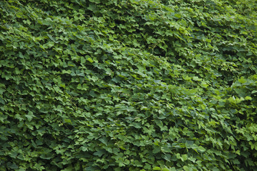 Similar image 1427608