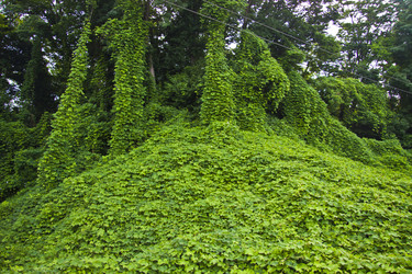 Similar image 1427610