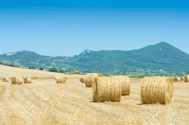 Similar image 1427653