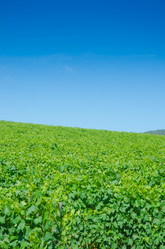 Similar image 1427659