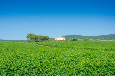 Similar image 1427660