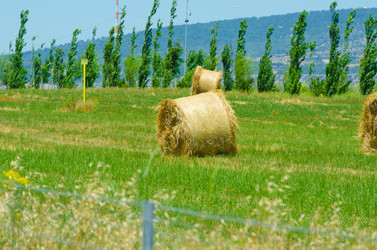 Similar image 1427669