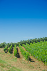 Similar image 1427672