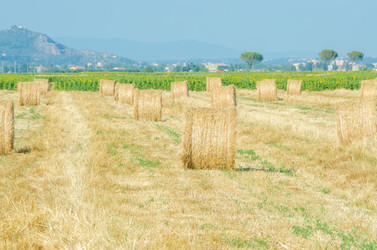 Similar image 1427689