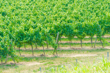 Similar image 1427731