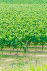 Similar image 1427733