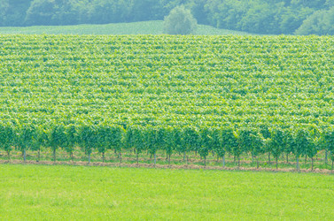 Similar image 1427738