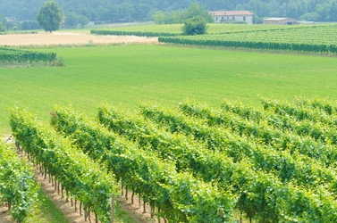 Similar image 1427739