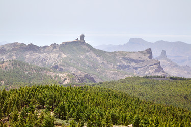 Similar image 1427785