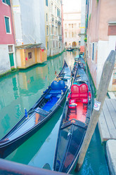 Similar image 1427865