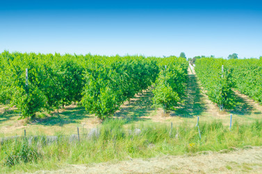 Similar image 1427870