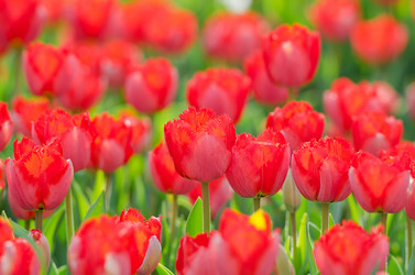 Similar image 1428085