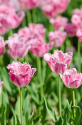 Similar image 1428149