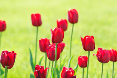 Similar image 1428161