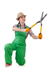 Similar image 1428168