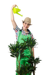 Similar image 1428170