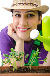 Similar image 1428236