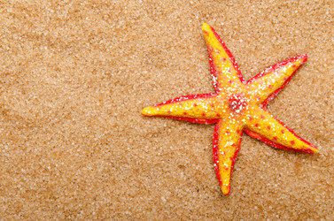 Similar image 1428240