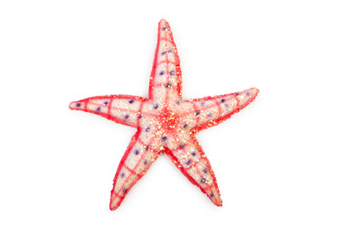 Similar image 1428245