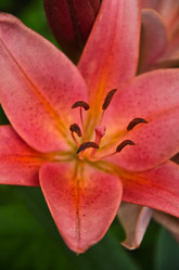 Similar image 1428925