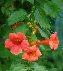 Similar image 1428927