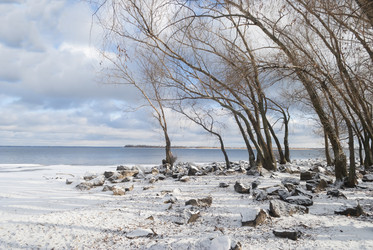 Similar image 1428929