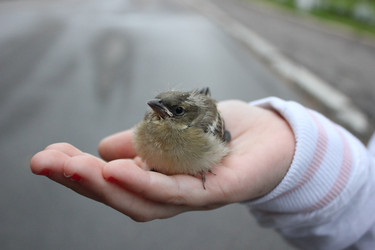 Similar image 1428935