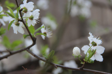 Similar image 1428943