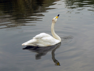 Similar image 1428966