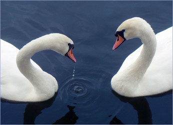 Similar image 1428967