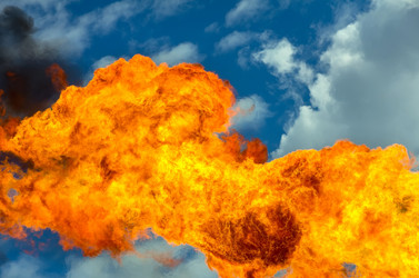 Similar image 1428990