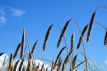 Similar image 1429017