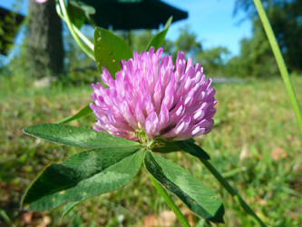 Similar image 1429019