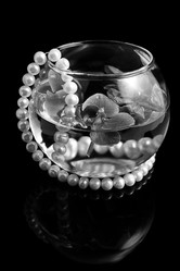 Similar image 1429028