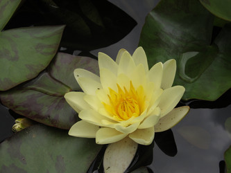 Similar image 1429055