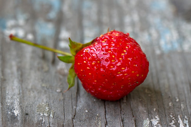 Similar image 1429089