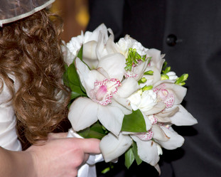 Similar image 1429090