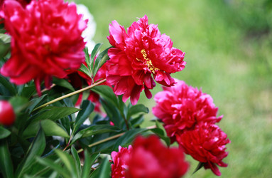 Similar image 1429109