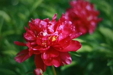 Similar image 1429110