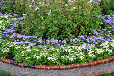 Similar image 1429112