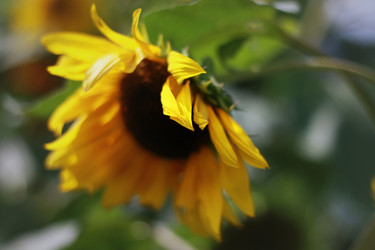 Similar image 1429118