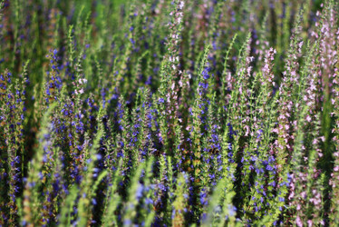 Similar image 1429119