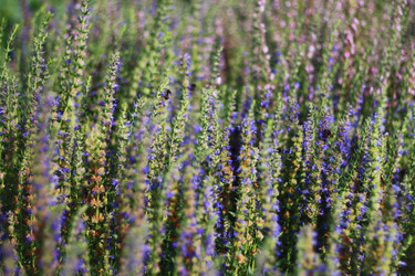 Similar image 1429121