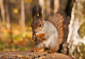 Similar image 1429124