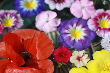 Similar image 1429128